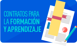 servicios